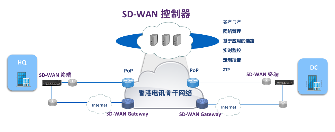 天网云主机域名SD-WAN解决方案